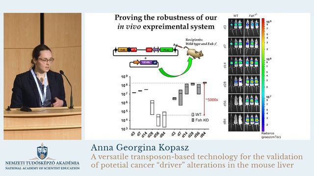 Kopasz Anna Georgina előadása (Anna Georgina Kopasz's lecture) смотреть онлайн