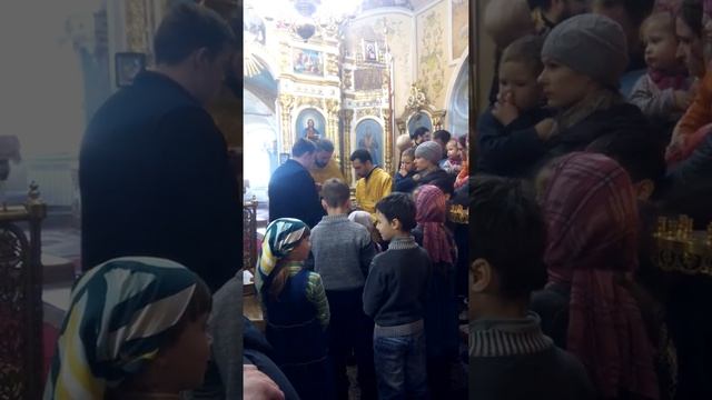Воскресная Литургия. Причастие смотреть онлайн