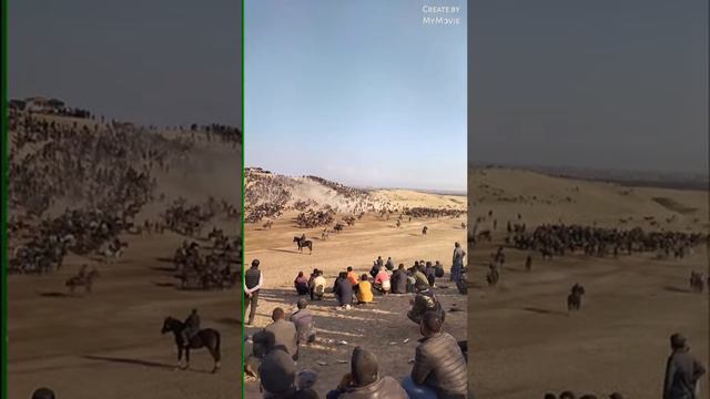 бузкаши н.Фархор 20.02.2022 смотреть онлайн