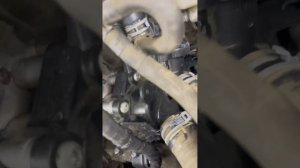 MPI CWVB Шкода рапид информация и быстро замена корпус термостата и помпа.#russia #shots #spb #uzb