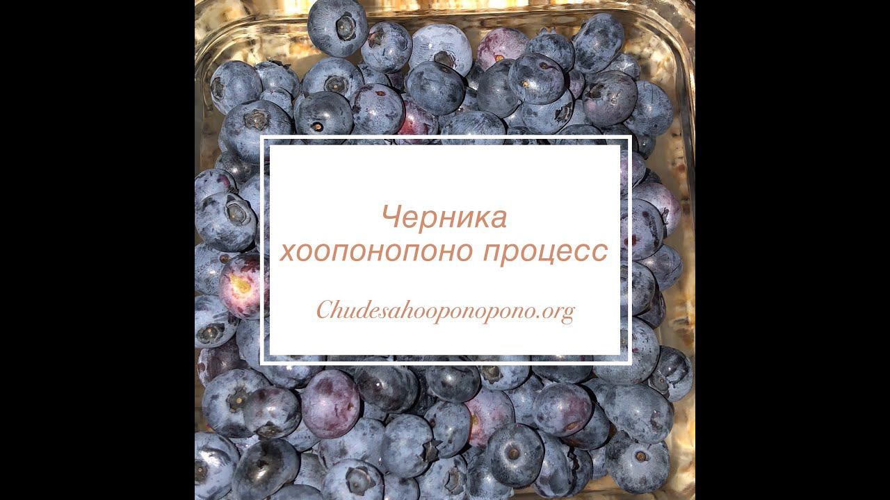 Инструмент "Черника" смотреть онлайн
