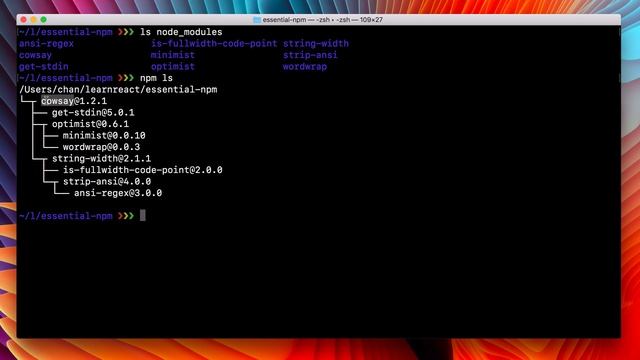 essential npm 5 смотреть онлайн