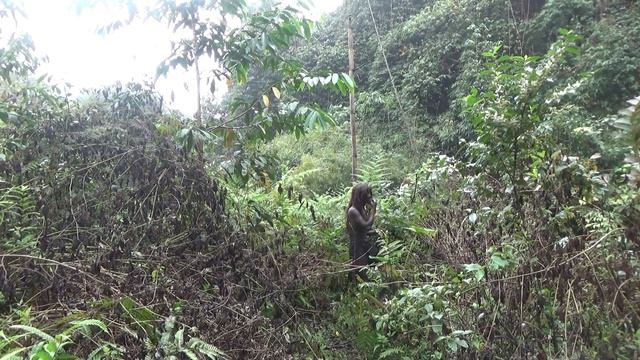 Primitive Life - Survival in the rainforest Catch Fish to cooking - forest people - eating deliciou смотреть онлайн
