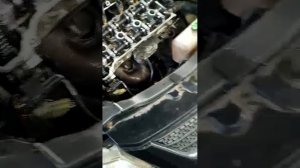 Spb.motorzap.ru Отзыв клиента двигатель G4KE КОНТАКТЫ Ответ РФ +79211899255 WhatsApp