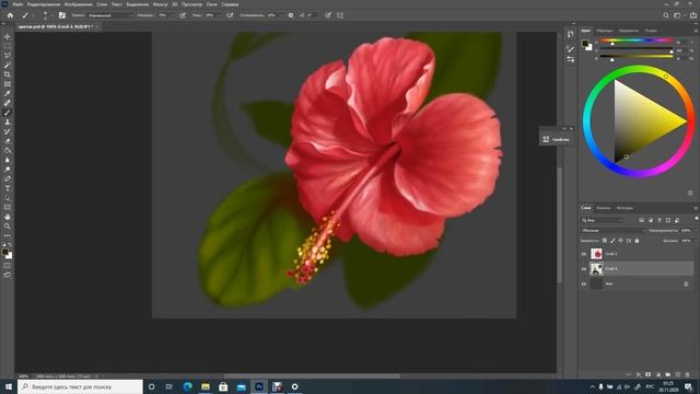 Рисуем тропический цветок стандартной кистью в Photoshop смотреть онлайн