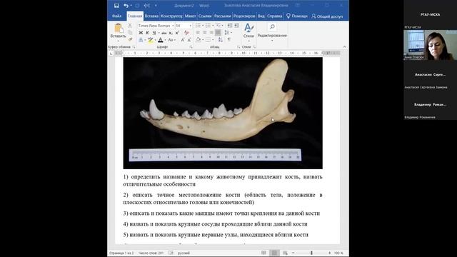 Вебинар по направлению «Ветеринария и зоотехния», часть 3 смотреть онлайн
