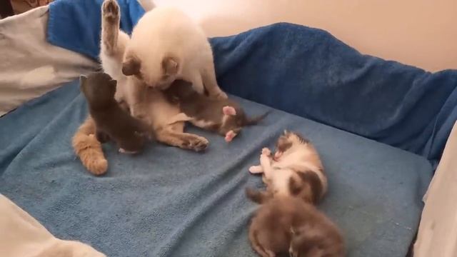 Светлана на Юге