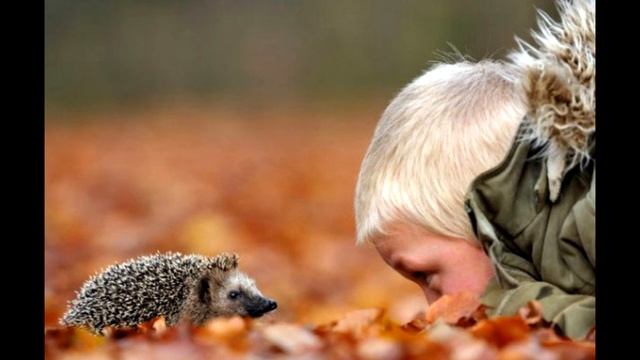 ВЕРА В СЕБЯ Жизнь на НОВОЙ ЗЕМЛЕ 2021 Отец Абсолют приняла Марта смотреть онлайн