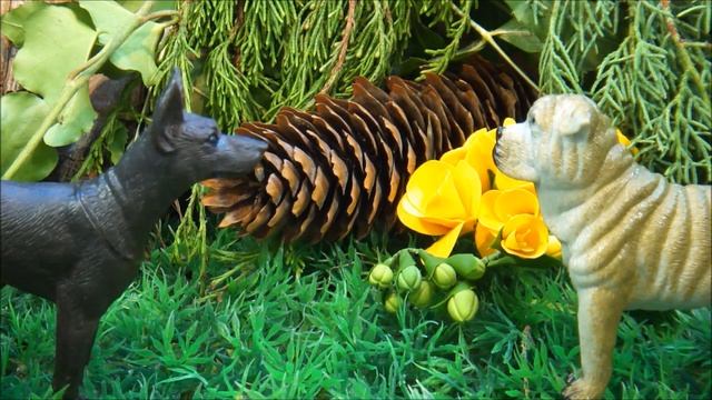 КАК РАЗЪЕХАТЬСЯ НА УЗКОЙ ДОРОГЕ? КТО ПЕРВЫЙ УСТУПИТ? Мультики про животных и машинки для детей смотреть онлайн