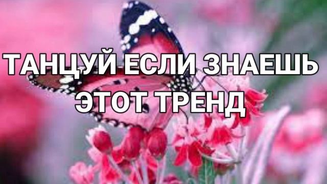 ? ТАНЦУЙ ЕСЛИ ЗНАЕШЬ ЭТОТ ТРЕНД 2023 ГОДА ? смотреть онлайн