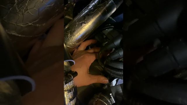 IMG 2397 смотреть онлайн