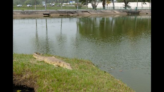 Yamoussoukro History (Ivory Coast) смотреть онлайн