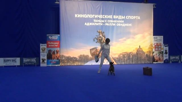 Никульцева Мария Миниатюрный бультерьер Шерлок Шарик Прогресс-Фристайл смотреть онлайн