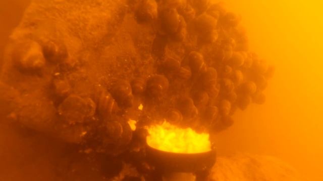 Подводный тест прикормки - Соломка сладкая смотреть онлайн