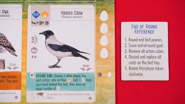 How To Play - Wingspan: European Expansion смотреть онлайн
