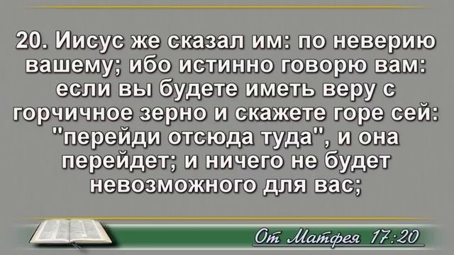 Ежедневное Чтение Библии 17 Января: Псалом 17, От Матфея 17, Бытие 33, 34 смотреть онлайн