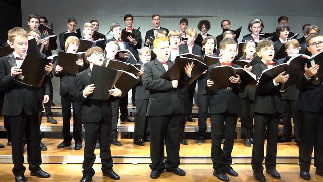 Хор мальчиков Cantus - Ave Maria (Владимир Вавилов, обр. Янченко). смотреть онлайн