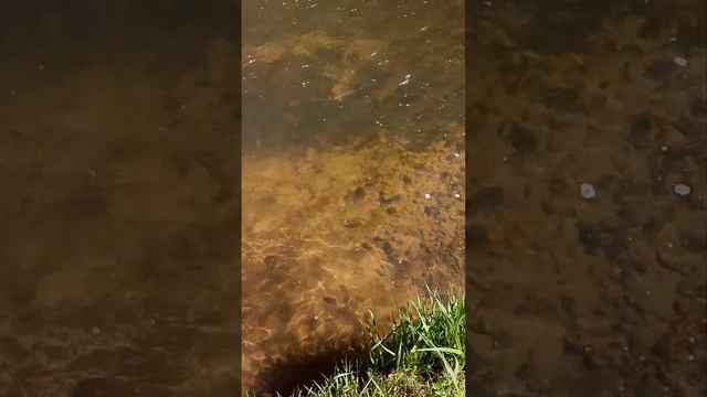 Малая Истра смотреть онлайн