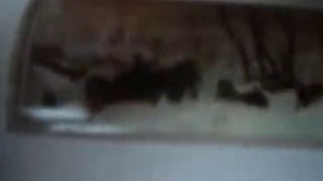 MOV00703 смотреть онлайн