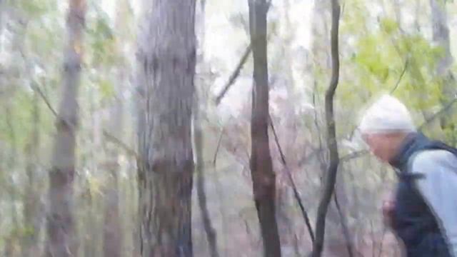 Сезон смешных грибов 2 смотреть онлайн