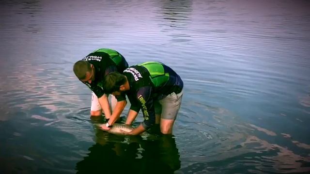 Водоем жуковский, чемпионат м/о Усть-Лабинского района смотреть онлайн