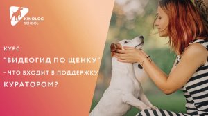 Курс Видеогид по щенку: что входит в поддержку куратором?