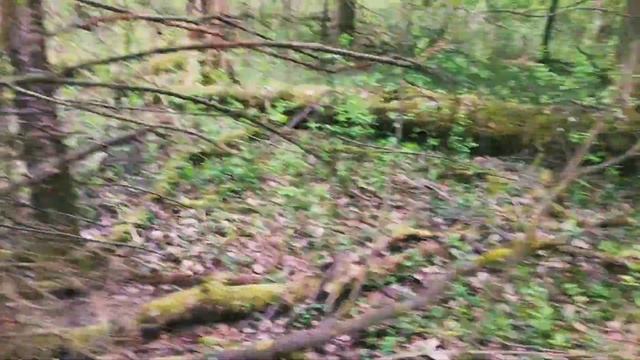 Май 2020.Дача.Строчки. смотреть онлайн