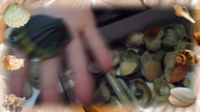 Сокровища Чёрного моря. Видео для детей! смотреть онлайн