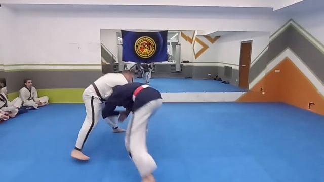 Джиу-джитсу. Всемирная федерация джиу-джитсу и кобудо. базовые техники. Алексей Фатеев. Новосибирск