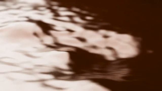 Курага КРЕМЛИНА шоколадная - конфета с абрикосом