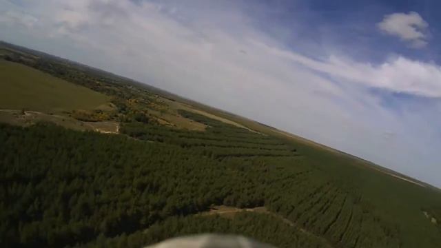 Сосны (2012-09-18) смотреть онлайн