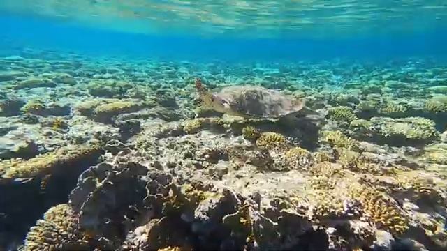 relaxing music 11 часов для сна и снятие стресса медитации смотреть онлайн