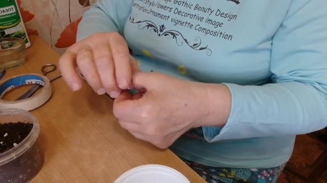 Гацания) Статица) Гайлардия) Эти цветы украсят мой сад и составят отличную композицию с колеусами) смотреть онлайн