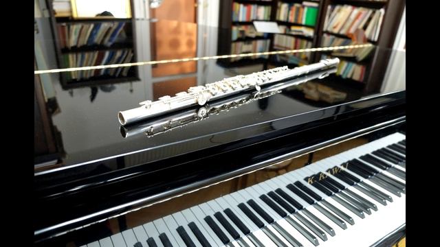The Sonata in E flat major for flute or recorder, BWV 1031 (also H. 545) смотреть онлайн