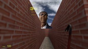 реалестичный обунга бегает за мной в лабиринте