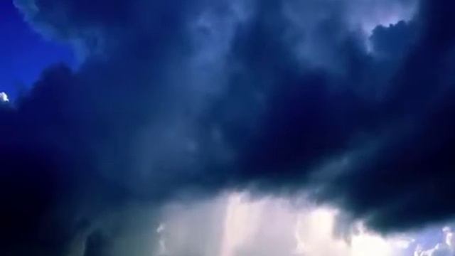 Splendid Suns - Dragonfly