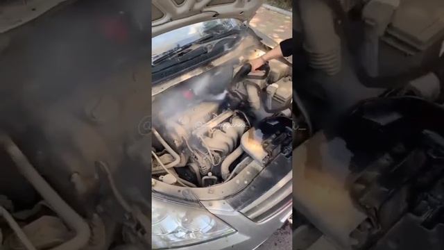 Пароочиститель для чистки лкп, подкапотки и салона смотреть онлайн