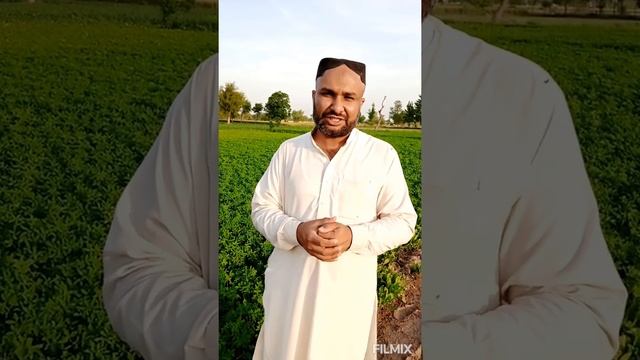 General Legal Terms:Bill Act, Ordinance, Order, Code,Rules,Regulations смотреть онлайн