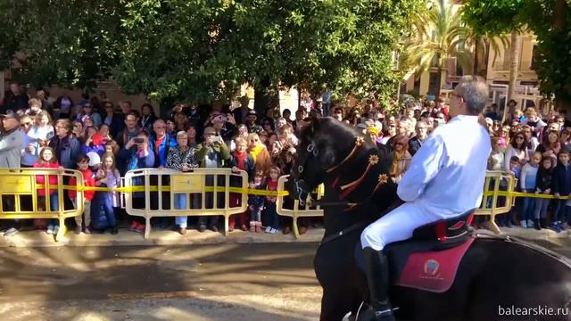 Шоу на лошадях меноркинской породы на празднике День Балеарских островов, Майорка смотреть онлайн