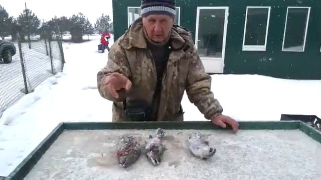 06.03.21 рыбалка Гарантия смотреть онлайн