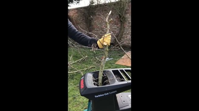 What is BEST GARDEN SHREDDER ? BOSCH ATX25 TC смотреть онлайн
