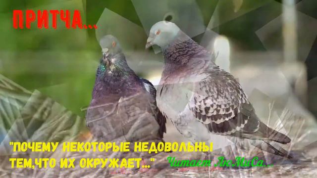 Притча. " Почему некоторые недовольны тем, что их окружает..." читает ЛюМиСа. смотреть онлайн