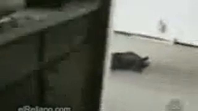 Ребенок симулянт смотреть онлайн