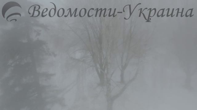 Невероятно густой туман над Парком Дружбы Народов в Киеве 17.01.2017 смотреть онлайн