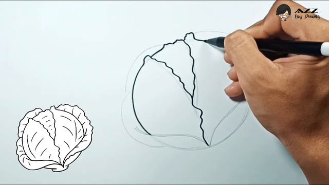 How to draw Cabbage смотреть онлайн