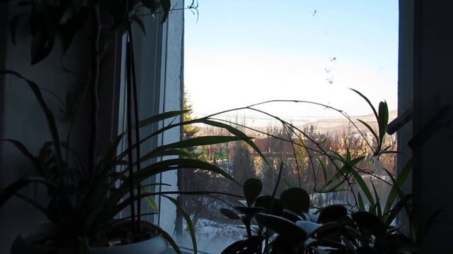 Ноябрь смотреть онлайн