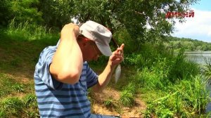 Лещ на фидер. Секреты успеха.