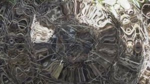 Кротоловки СКАТ 62 или сибртех 94116 результаты испытаний 2019