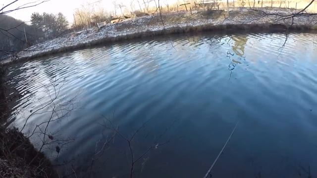 Berkley MICE TAILS challenge | Trophy TROUT fishing + GIVEAWAY смотреть онлайн