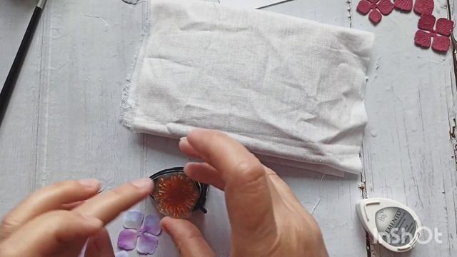 Мастер-класс "Саржента четырëхлепестковая" от Жени Войщевой-Алексеевой смотреть онлайн